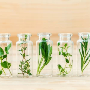 お手入れも簡単！ハンドメイドの植物のメリットや選び方をご紹介